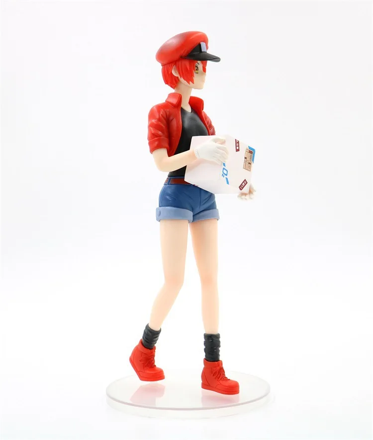 

Anime Toy Work Cell Red Blood Cell Stance Red Blood Cells Platelet Garage Kit Model