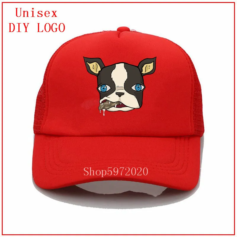 Бейсбольная кепка Iggy the dog Jojos с невероятными приключениями женские мужские кепки