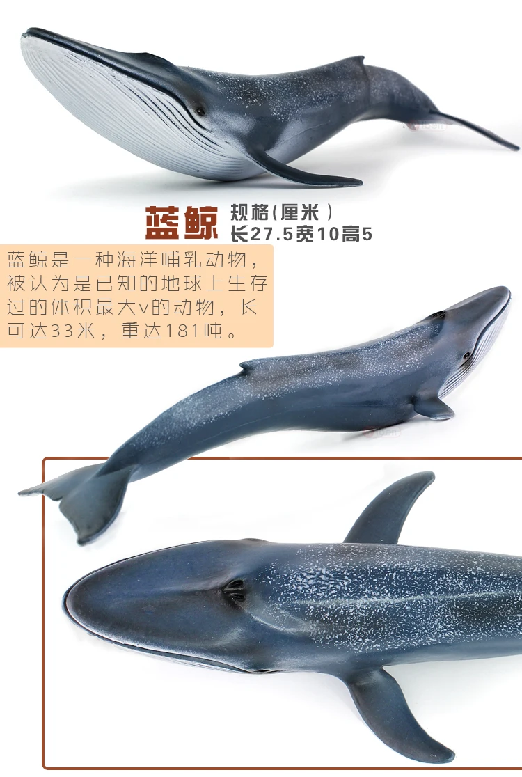 Модель животных черепахи модель Orca большая белая акула yu wan ju морского организма Дельфин КИТ провинция Гуандун есть