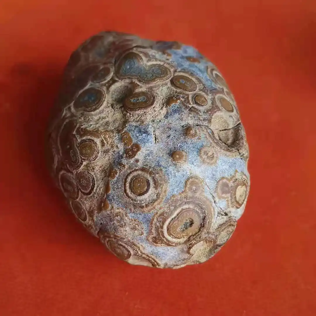 PROD 1005003010180353 1pcs/lot Kistler Collection Rare and precious
Mondzi Beads Surface Money Stone Nine Eyes Shale A stone with many eyes