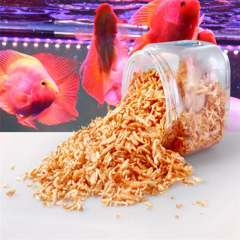 搜狗截图19年12月28日1028_2