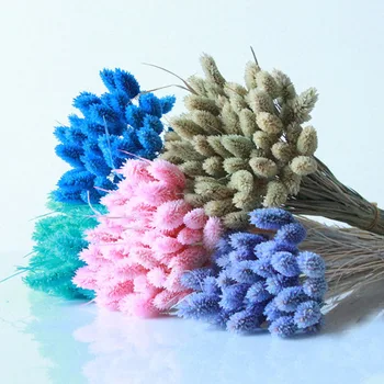 

50pcs Natural Dried Gemstone Grass Flower Bouquet Real Flowers Material DIY Flower Arrangement Shooting Props Home Decoration