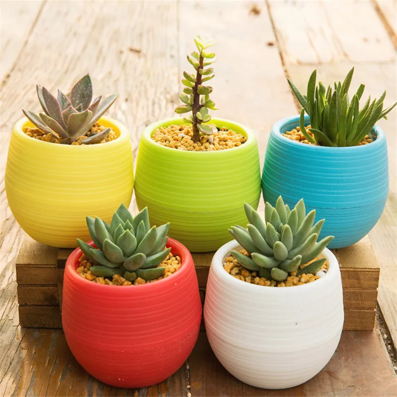

Flower Pot Mini Flower Pot Unbreakable Plastic Nursery Pots For Succulent Plants Garden Supplies Decoration
