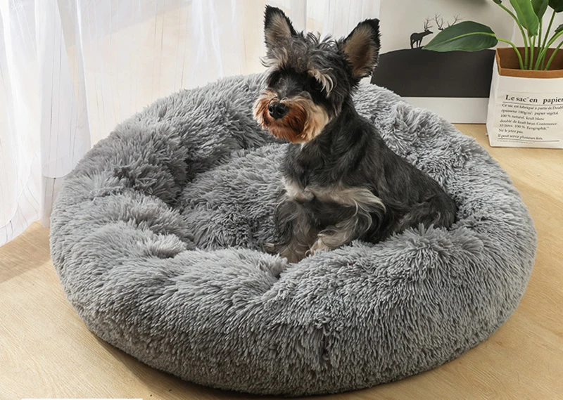 11861565131_1739912750