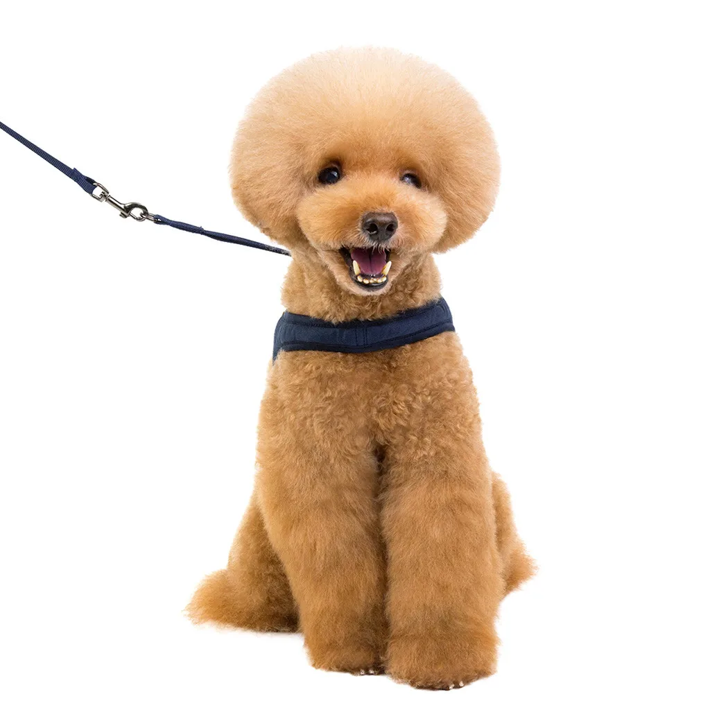 New Adjustable Pet Cat Dog Breathable Traction Fashion Comfortable Chest Strap Teddy For Dog Walking Pet Harness S-l Size