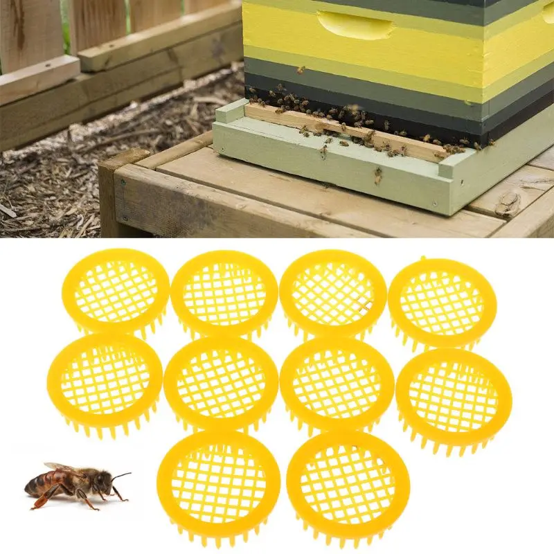 

10Pcs Beekeeping Tool Queen Bee Cage Rearing Box Cell Needle Type Bees Catcher E65B
