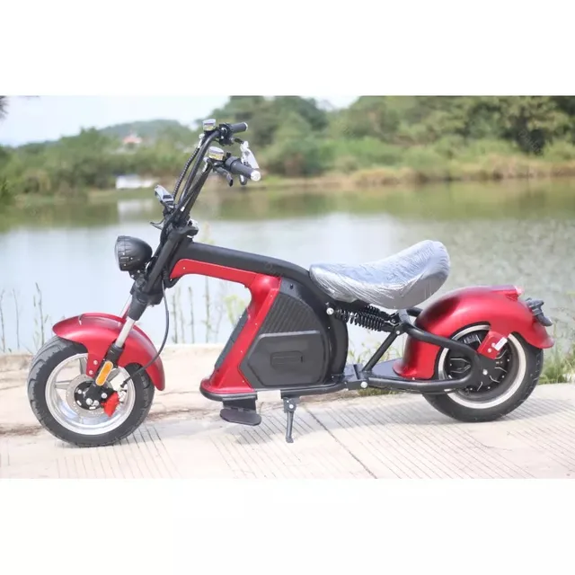 Wide Wheel Electric Scooter Mobility M8 EEC/CO Motorcycles 2000W 60V