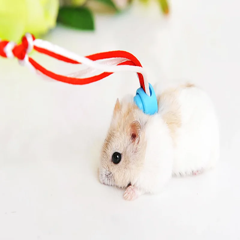 Pet Hamster Leash Harness Rope 2m Adjustable Bunny Cotton Rope Harness Lead Collar for Ferret Squirrel Rabbit Hamster Pet Leash10