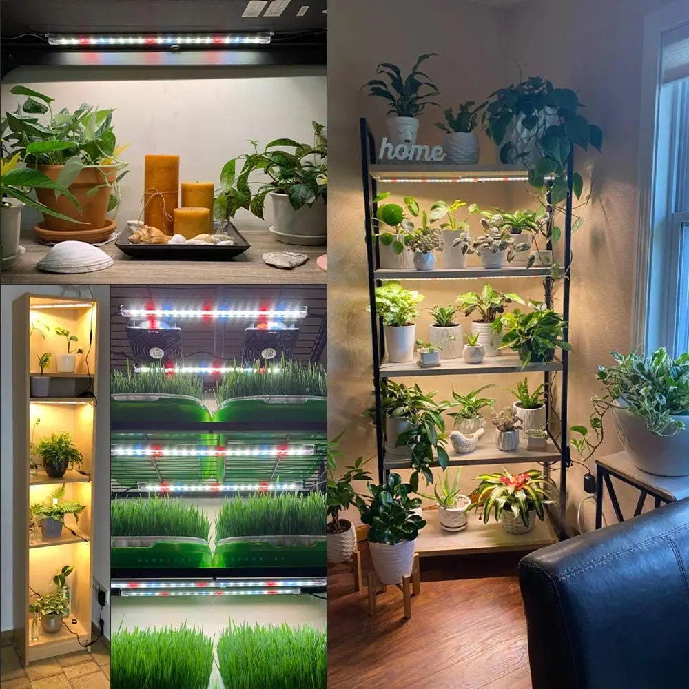 1 Paquet, Lampe De Culture Pour Plantes D'intérieur Petit