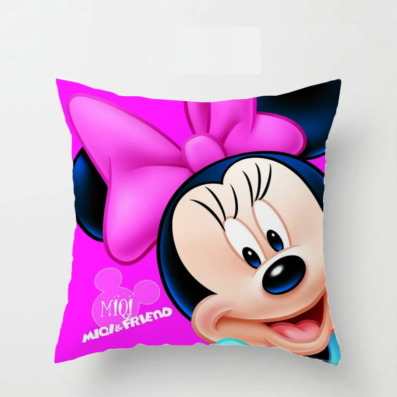 cushion cover (1)