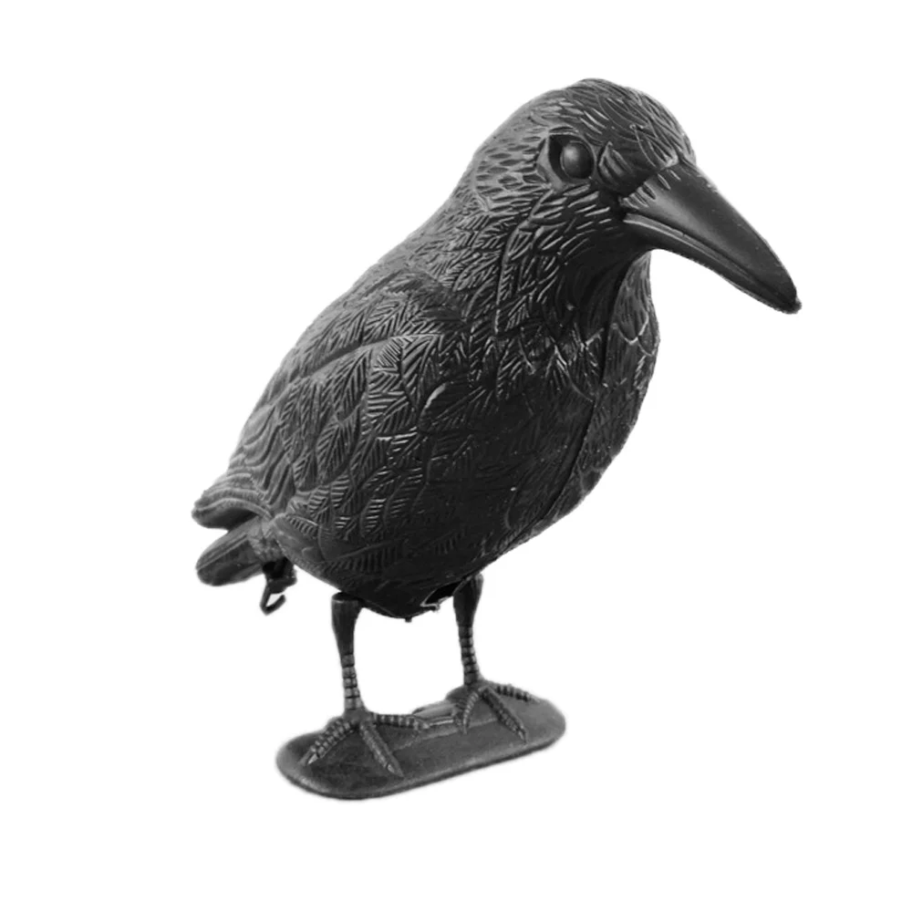 455304_66c0e089a037465984949cbeb35671cb