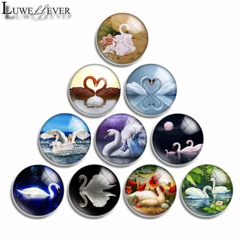 

12mm 10mm 16mm 20mm 25mm 30mm 516 Beautiful Swan Mix Round Glass Cabochon Jewelry Finding 18mm Snap Button Charm Bracelet