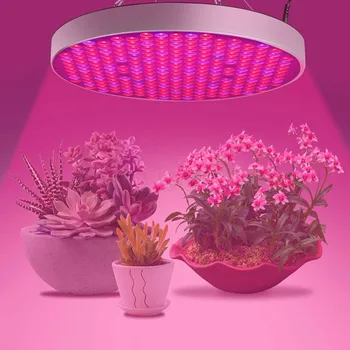 

LED Grow Light Full Spectrum 50W Growing Lamp Light for Plants Indoor Flowers Seedlings Phytolamp Cultivation Greenhouse Tent