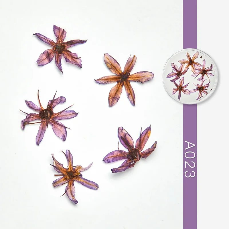 DS09195 Смешанные сушеные цветы 3D сухие цветочные украшения для ногтей ювелирные изделия натуральные Цветочные наклейки для ногтей дизайн УФ Гель-лак для маникюра - Цвет: DS09195