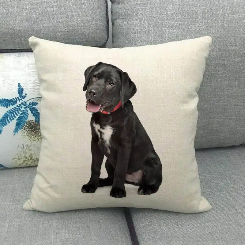 45 см* 45 см собака бульдога узоры дизайн лен/хлопковая подушка для дивана Чехлы диванная подушка крышка декоративная подушка для дома