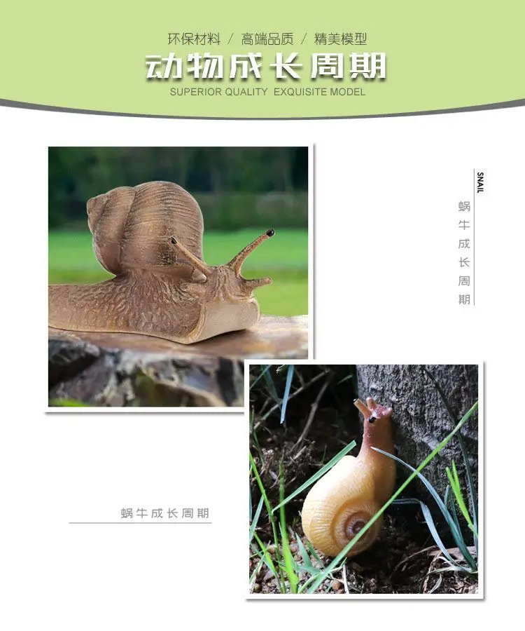 gGqUif2gxdSGFui65Mga1PNMsT2VeXf0PkF6