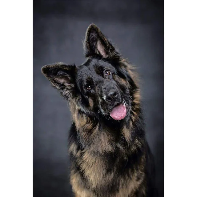 H3171ccd8eba143b98b7edc5875213504l