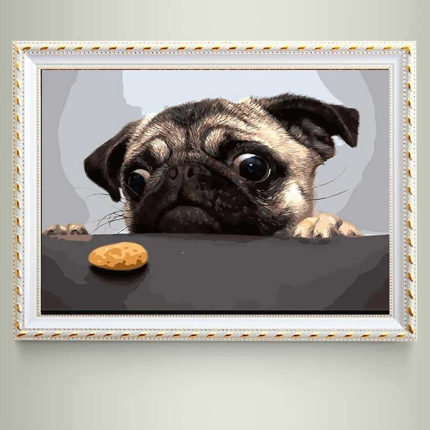 HTB1Hw5YIY1YBuNjSszhq6AUsFXaJd