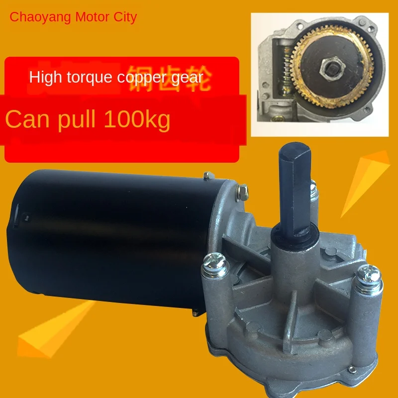 Worm Gear Motor Turbina Obturador Redutor dc Cobre 12v 24v 80w 90w 100w