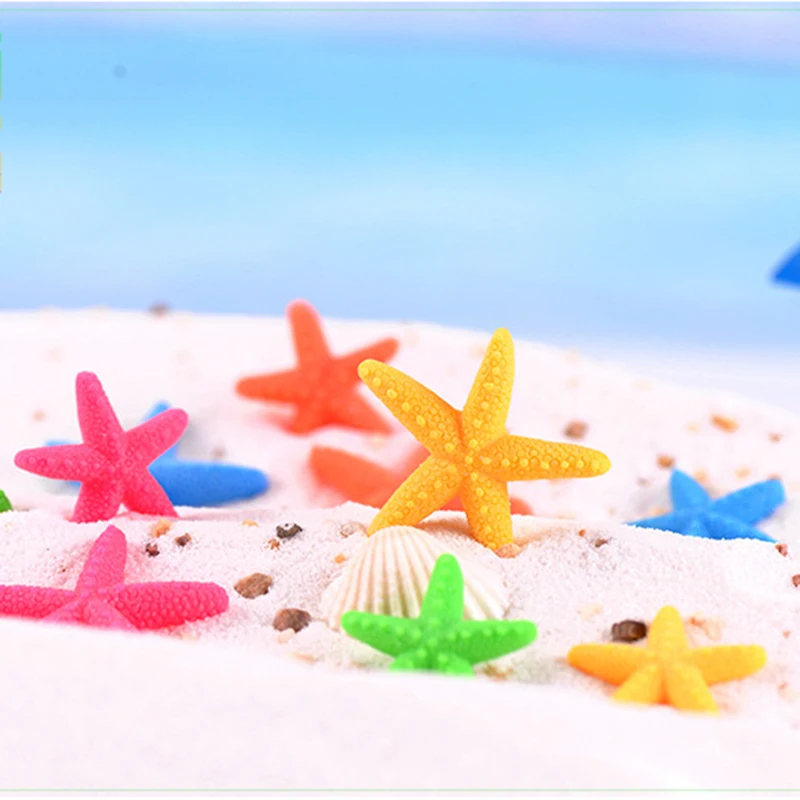 8764681674_393786582