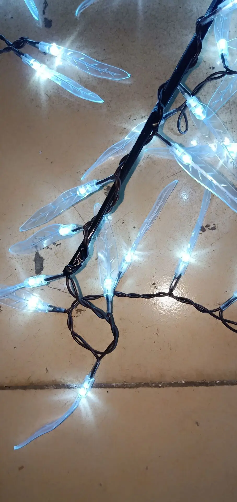 QQ图片20190926232534