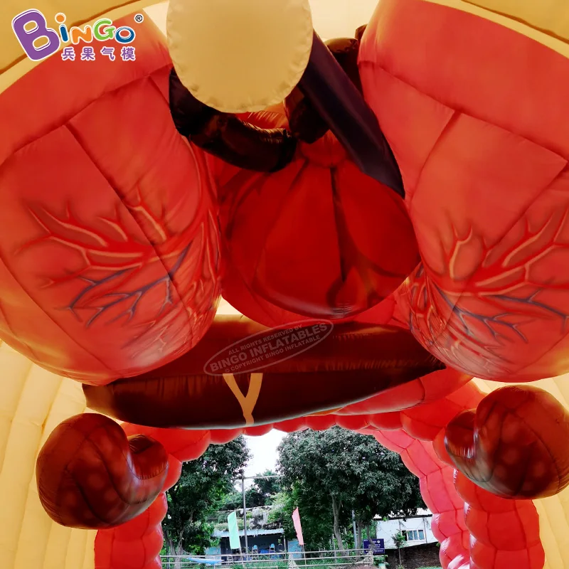 Giant 15x8x3.7 Meters Inflatable Gastrointestinal Tunnel For Education - BG-Z0XX07 6