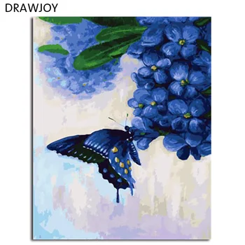 

DRAWJOY Framed Picture Painting & Calligraphy Of Loely Animals DIY Painting By Numbers Coloring By Numbers