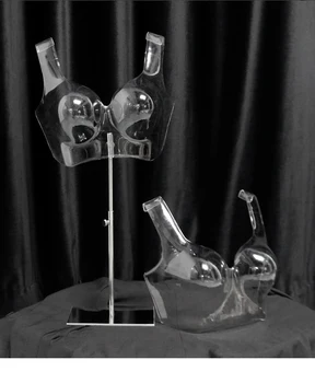 

New Style Lingerie Mannequin Torso Bra Model Display With Metal Base Customized Hot Sale