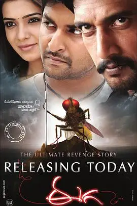 功夫小蝇/苍蝇侠