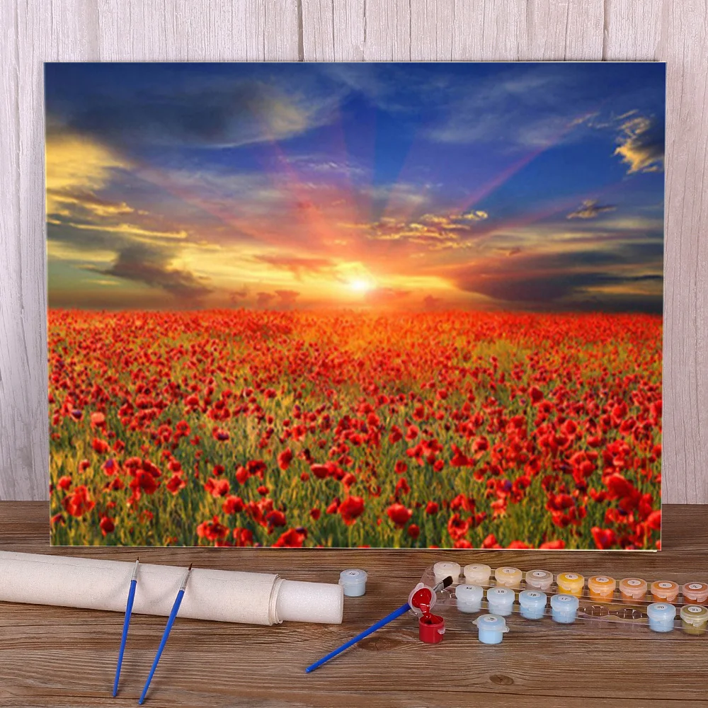 Painting Numbers Flower Colors Acrylic Poppy Flower Painting Flower