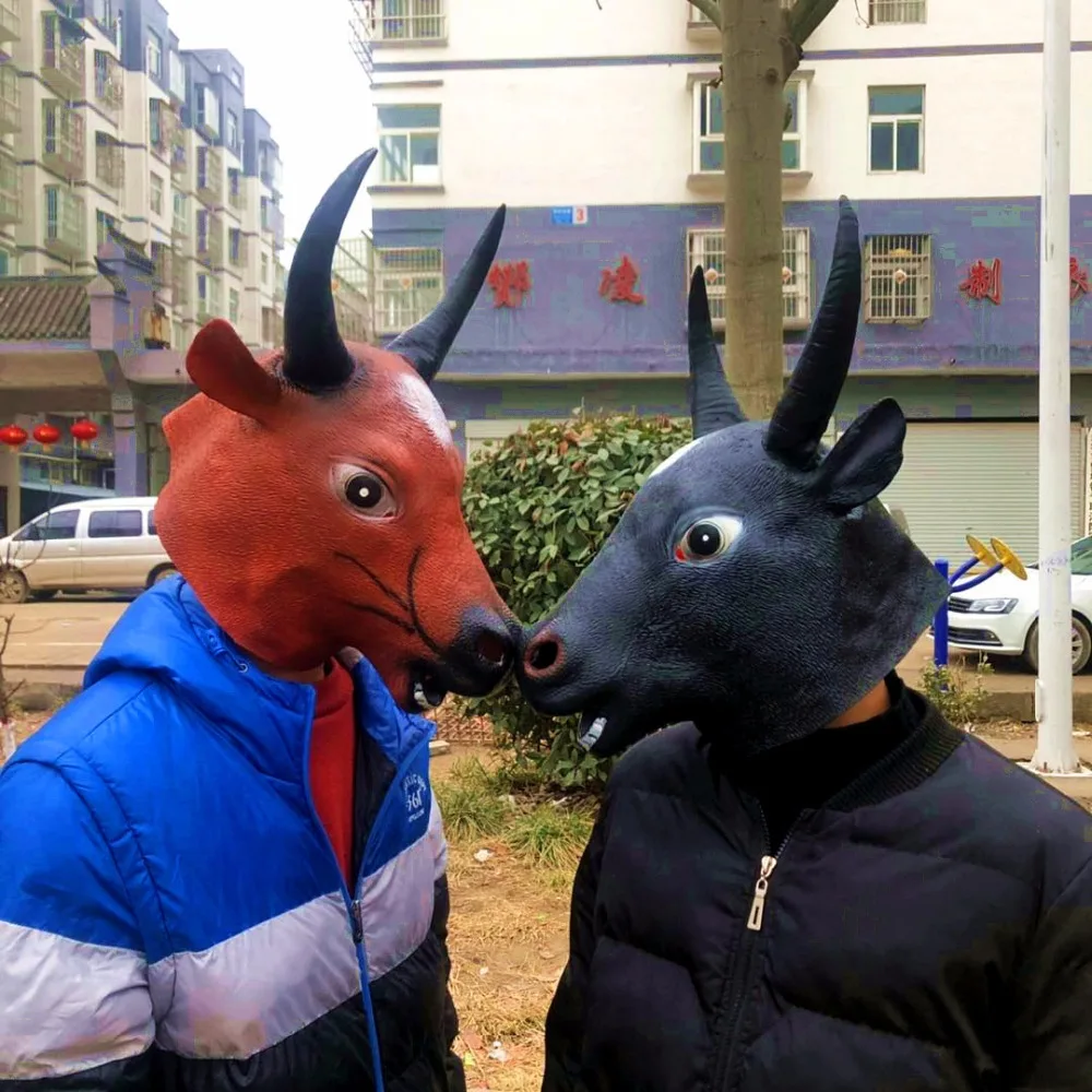 10397260744_1290734885