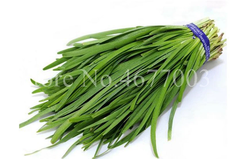 300 шт./пакет китайский лук Everygreen без ГМО вкусный сочный порей огород завод для цветочного горшка кашпо легко растить