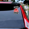 Three Ratels TZ-1793#  11x17cm Roberto Sanya is always right! car stickers funny  sticker auto decals ► Photo 3/6