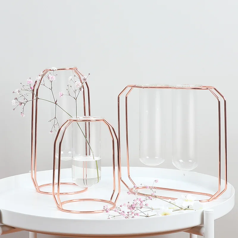 Металлическая подставка для цветов пробирка прозрачная стеклянная ваза Простая Современная креативная домашняя Цветочная водная культура Цветочная композиция