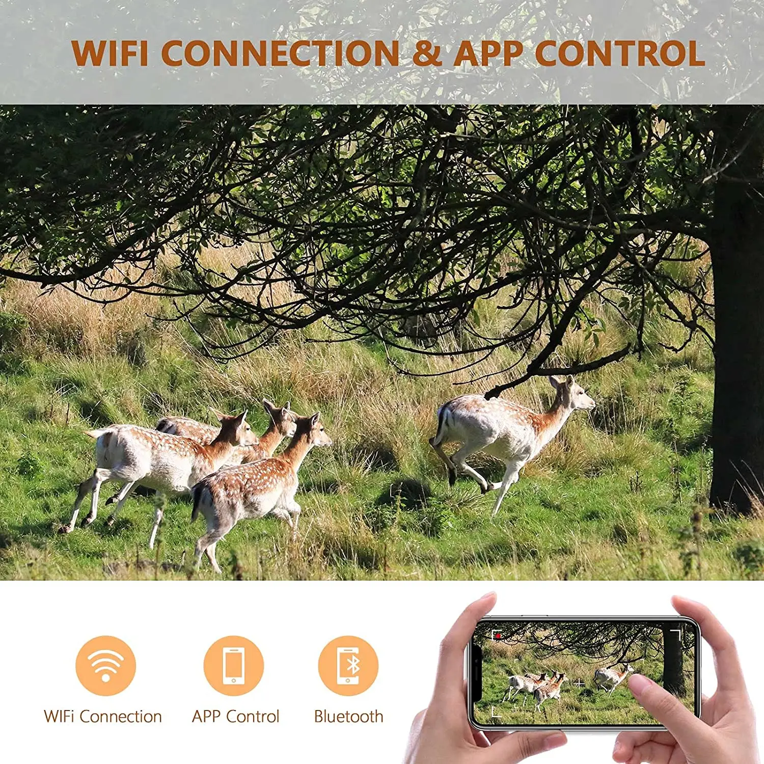 Description Picture 4 of item4K Live Broadcast WIFI Hunting Cameras Trail Camera 30MP APP Bluetooth Control Night Vision WIFI830PRO Wildlife Photo Traps Cam