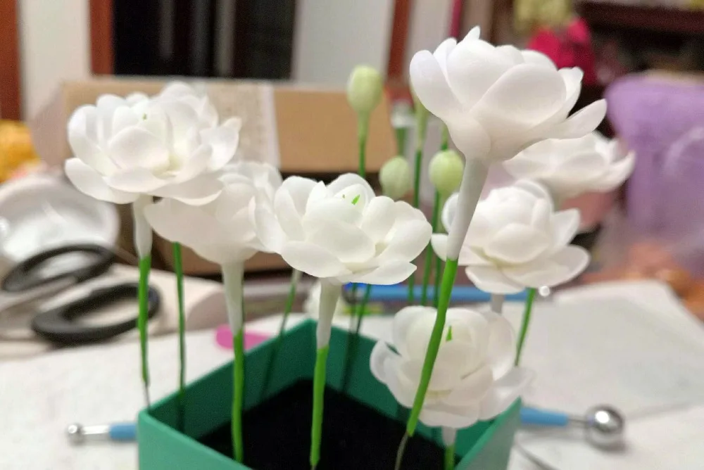 1586232267249_meitu_2