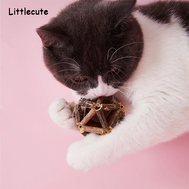 Игрушка для кошек чистка зубов натуральная кошачья мята Pet молярная зубная паста палочка Matatabi плод актинидии Silvervine Жевательная для кошек снэки палочки