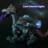 Electric Simulation Atomize Fire Dinoasur Bionic Walking Shaking Head Water Spray Cool Light Children Educational Puzzle Toys 4