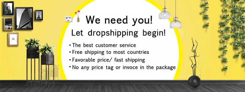 drop shipping 原图