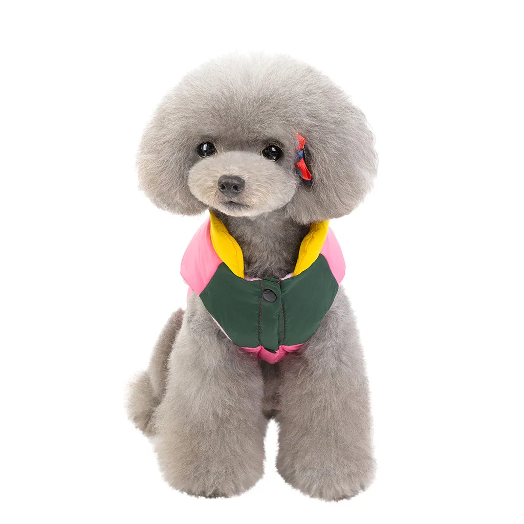 Transer Ropa Perro новые модные куртки для домашних животных Осенняя и удобная теплая одежда для кошек и собак 19Aug21 P30