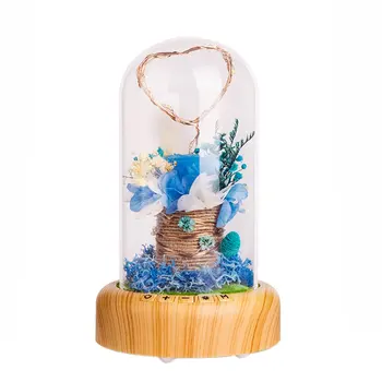 

Led Wishing Streamer Night Light Home Decoration Lights Creative Atmosphere Lights Fashion Professional
