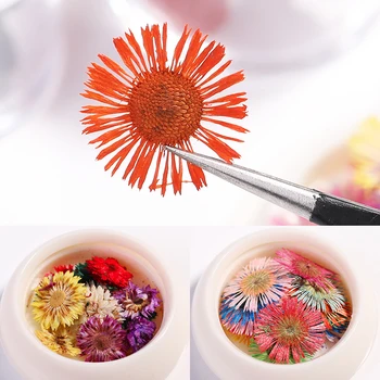 

1 Box 3D Nail Decoration Pink Purple Yellow Mixed Natural Dried Flowers Series Colorful Nail Art Decoration DIY Design Tool