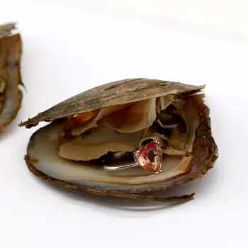 

15 gems jewelry oysters and 10 gems pearl oysters