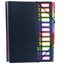 Расширенная папка, 12 карманных букв А4 бумажный пункт сортировщик, пластиковый мешок для хранения файлов, переливающийся