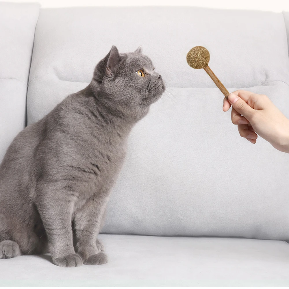 Catnip Lollipop Toy