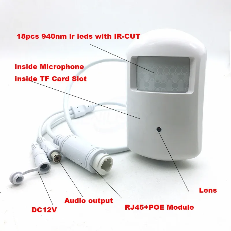 PIR WIFI POE IP CAM2