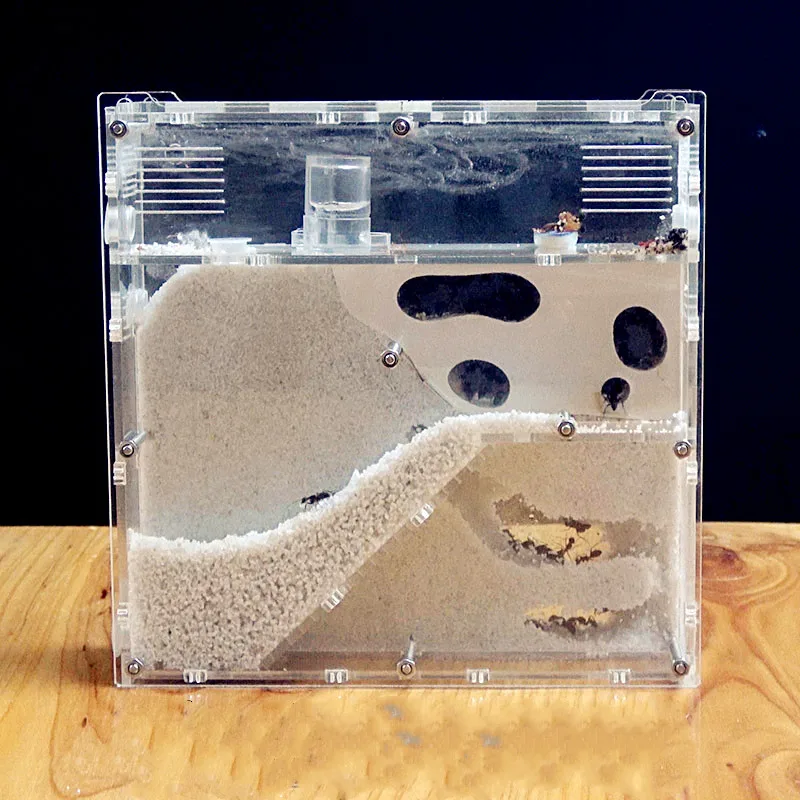 

Ant Workshop Ecological Ant Nest Ant Castle Bow-back Ant Queen Acrylic Sand Nest Sandcastle Home Pet Ant
