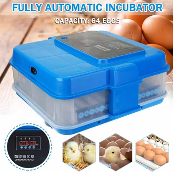 

Poultry Hatchery Machine Hatching 64 Mini Brooder Small Chicken Bird Egg Hatchers Incubator for Quail Parrot Duck