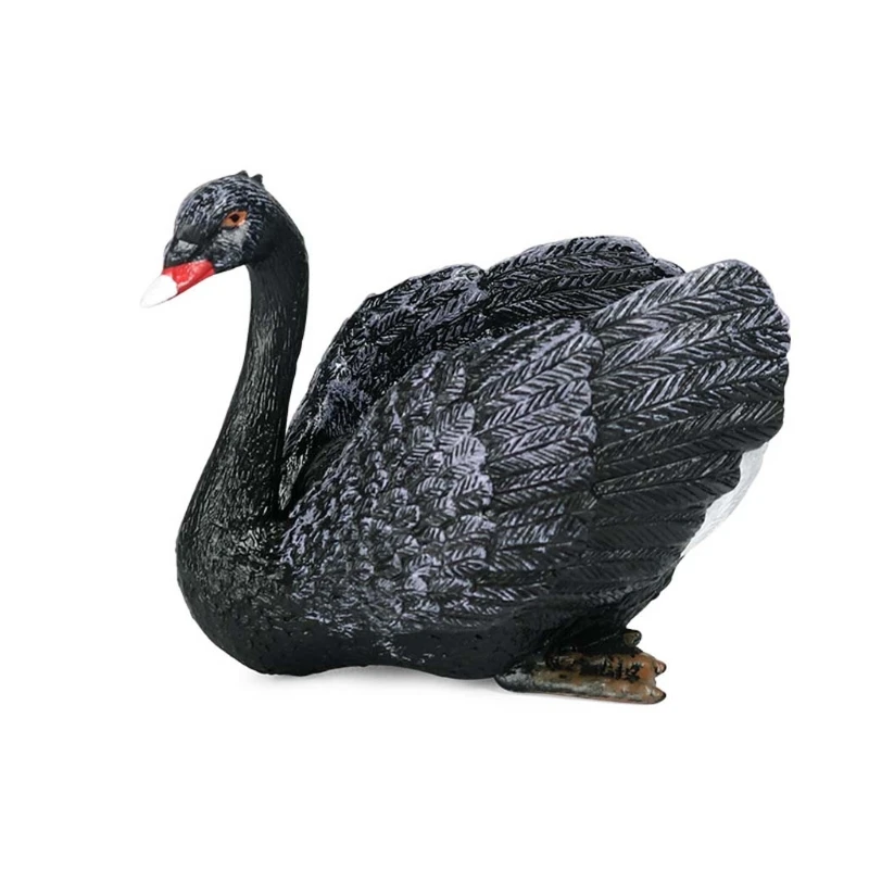 

Simulation Static Solid Animal Model Ornaments Realistic Swan Children Educational Props Scene Decoration Kids Toy