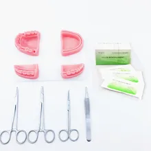 Dentale kit pratica, Oral modello, Stato Stampato ago, kit di strumenti con selica gel di formazione per Gli Studenti Dentali orale di formazione sutura